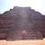 Cindy Schriner Miller's profile image
