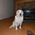 Donna Boyd's profile image