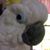 Barbara Young's profile image