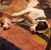 Bennie Blubaugh's profile image