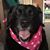 Janice Cooper's profile image