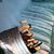 Kimberley Prinsen's profile image