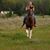 Courtney E Bowyer's profile image