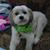 Jennie R Galvan's profile image