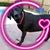 Angie Turner's profile image