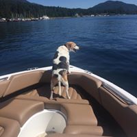 Tim Jacoby's profile image