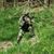 Michal Kohoutek's profile image