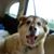 Debbie Carver Lashley's profile image