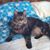 Marianne Horn Higginbotham's profile image