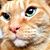 Kelly Allison's profile image