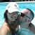 Dana N Clay's profile image