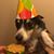 Tyler Lowe's profile image