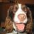 Hank Kook's profile image