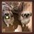 Marjorie Glass Peck's profile image