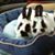 Lisa Moulton Nisen's profile image