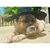 Nina Pupovac's profile image