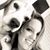 Jessica Thompson's profile image