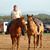 Gabi Carper's profile image
