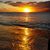 Renae N Mark Anderson's profile image