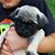 Stefanie Wallace Welch's profile image