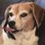 Joe Milke's profile image