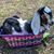 Kim Toombs's profile image