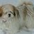 Helen Worthington's profile image