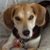 Deb Geene's profile image