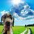 Donna Martini's profile image
