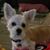Eleanore Duffy Russell's profile image