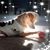 Heidi N Tony Setum's profile image