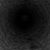 Neil Viertel's profile image