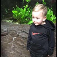 Ariel Burke's profile image