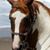 Jodi Walker's profile image