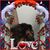 Cheryl Milazzo's profile image