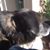 Jean Doyle's profile image