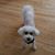 Jean Spittle's profile image