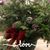 Debra Lynn's profile image