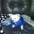 Sammy Sanchez's profile image