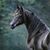 Khaled W. Hammoud's profile image
