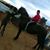 Alonso Sandoval's profile image