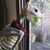 Renee Larson's profile image