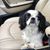 Johnny Strickland's profile image