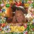 AnnMarie Ryan Paulo's profile image