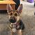 Darla Henderson's profile image