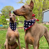 Penny Szymanski's profile image