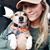 Kirsten Williams's profile image