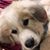 Donna Powell's profile image