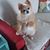 Carol Walldau's profile image