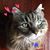 Dave Smith's profile image